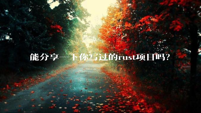 能分享一下你写过的rust项目吗？